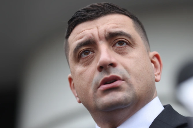 Das Zentrale Wahlbüro hat beschlossen, 29 Anzeigen von George Simion ...