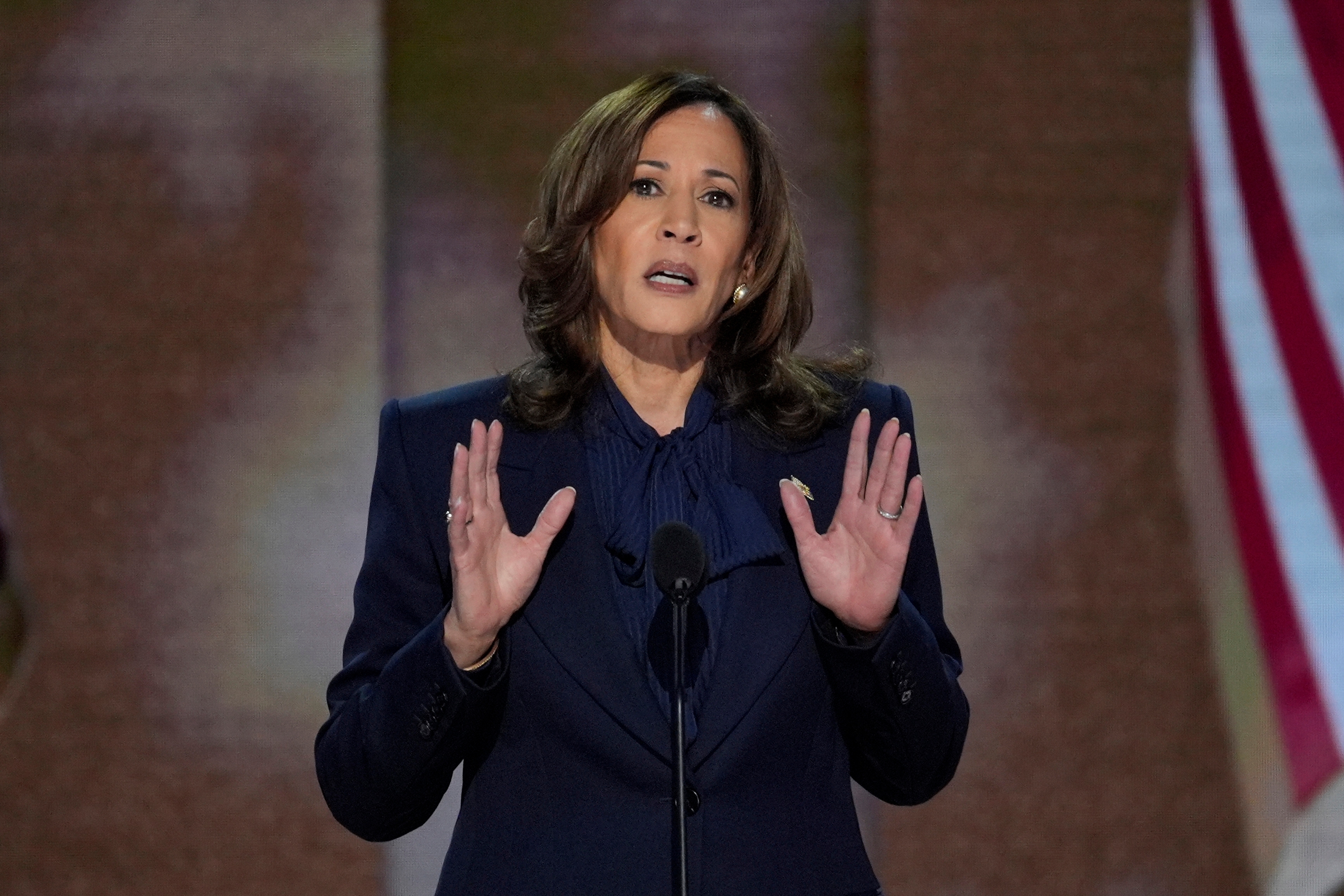 Former Vice President Kamala Harris will publish her book "107 Days" in ...