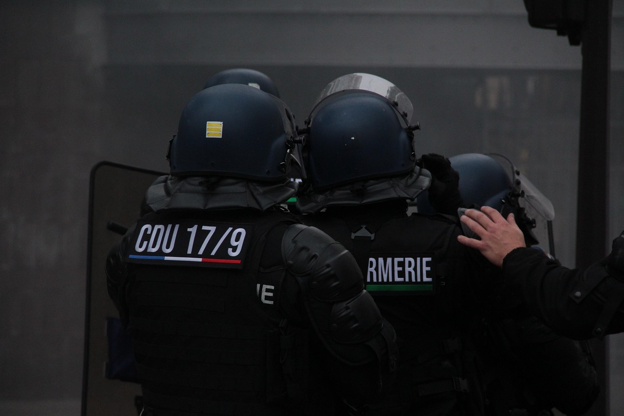 A 35-year-old man was arrested in France after intentionally hitting ...