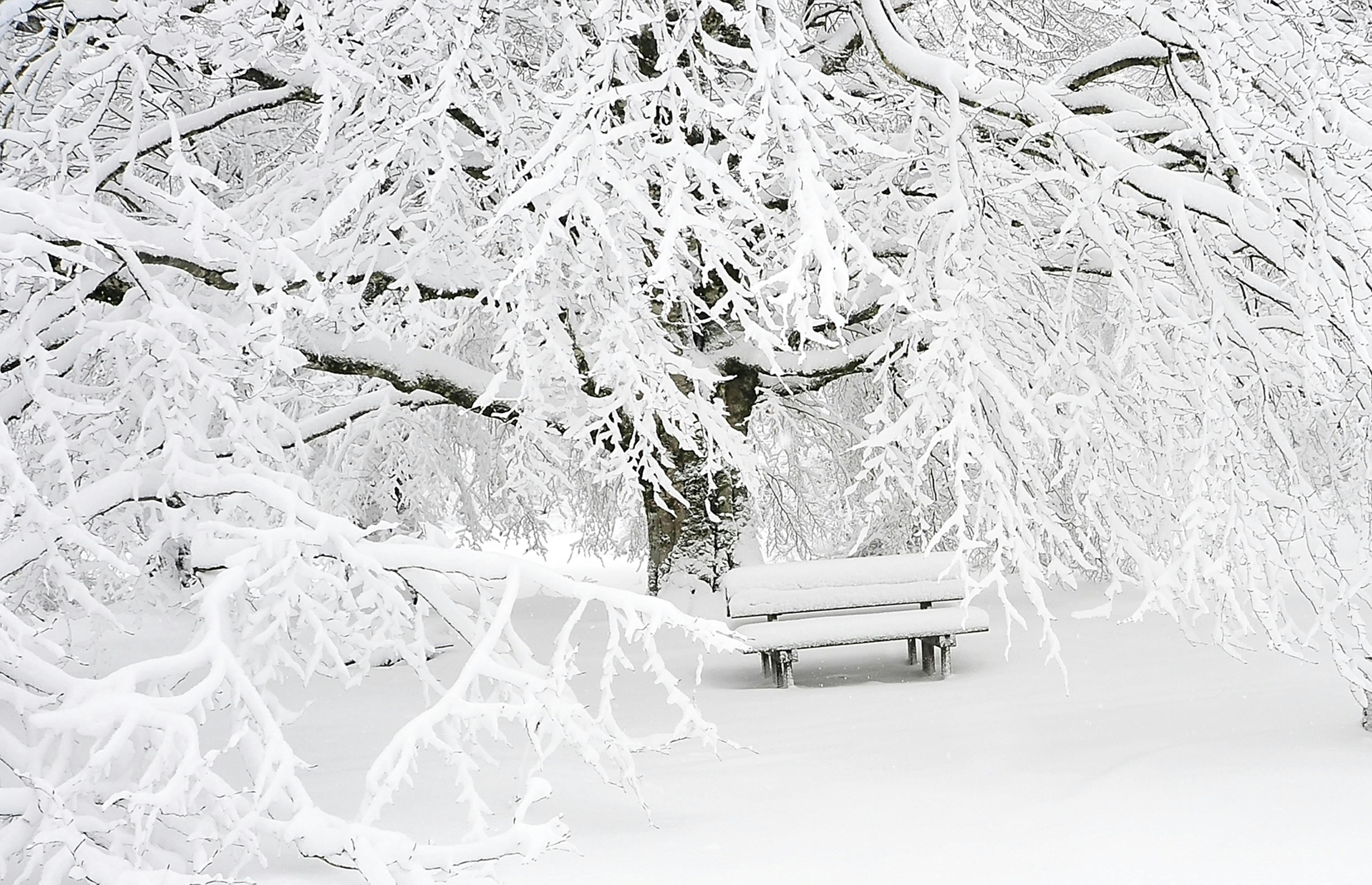 Gradi Ma Dopo abbondanti nevicate, il tempo si riscalderà leggermente, ma un ...