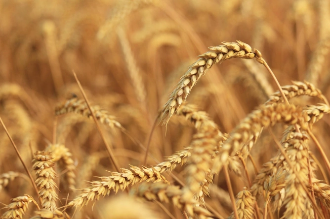 main event image